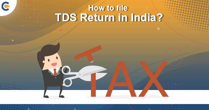 File TDS Return