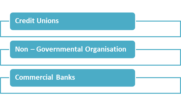 types of institutions which offer micro finance services