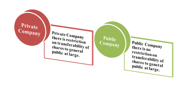 Private Company and Public Company
