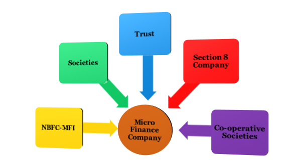 Legal Structure for Micro Finance Company Registration
