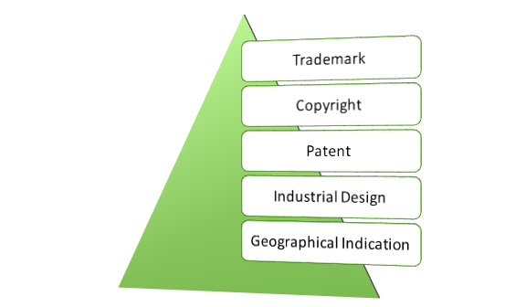 types of IP Rights in India
