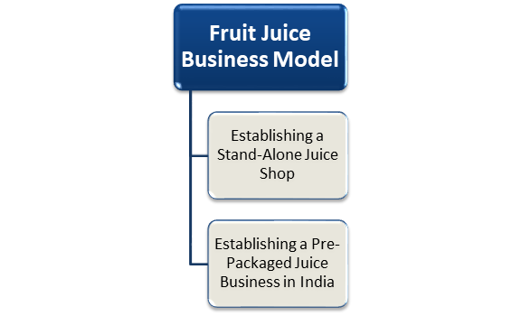 Fruit Juice Business Model