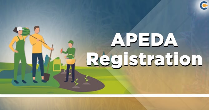 Requirement of APEDA Registration online and its functions