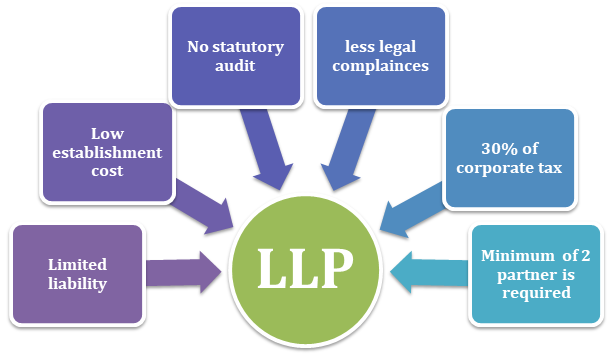 designated partner in LLP