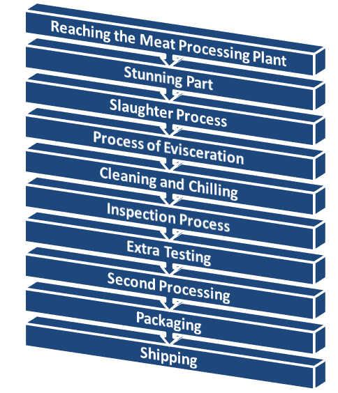 guide on meat processing