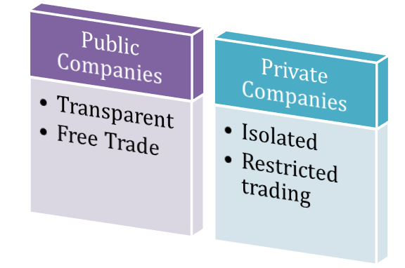 Investment in a Private Limited Company