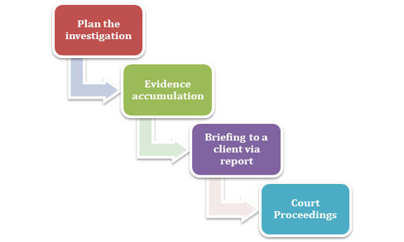 Forensic audit investigation procedure