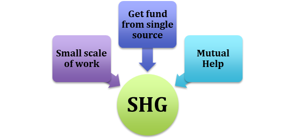 Roles of SHG