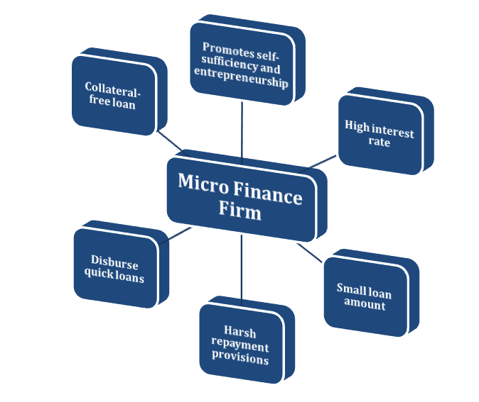 Microfinance company