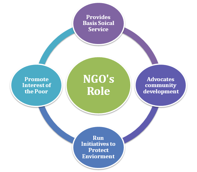 Role of NGO as an Organization 