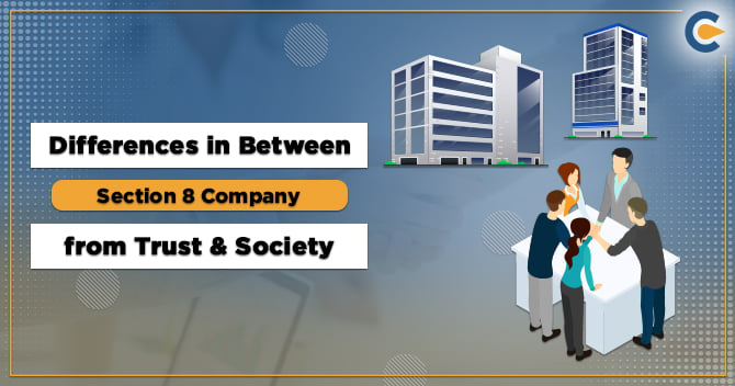 What are the Differences in Between Section 8 Company from Trust and Society under NGO?