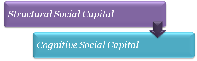Types of Social Capital 