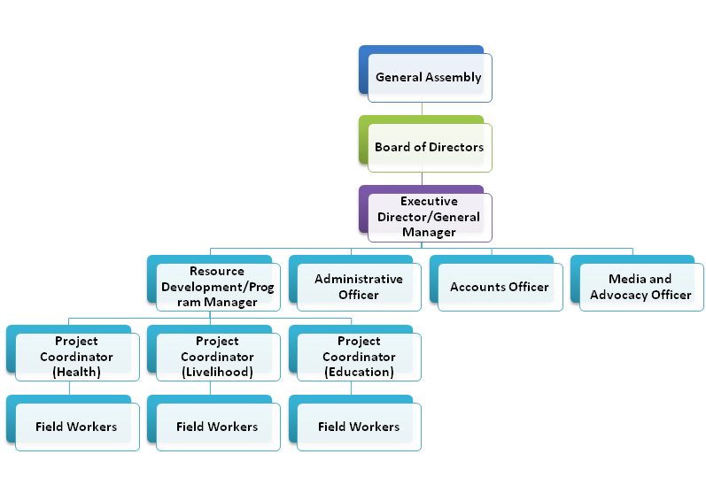 Detailed NGO Organizational Structure