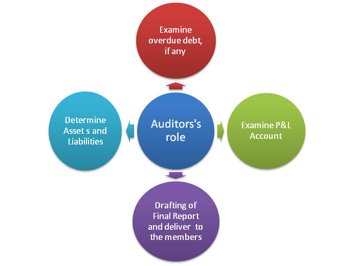 Role of the Auditor 