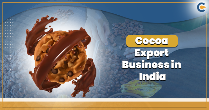 How to Setup a Cocoa Export Business in India
