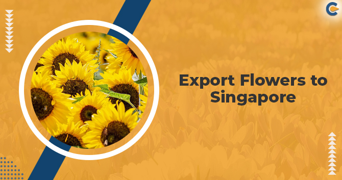 Export Flowers to Singapore