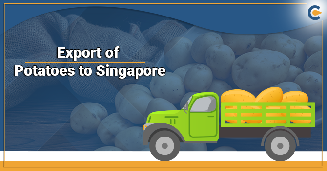 Export Potatoes to Singapore