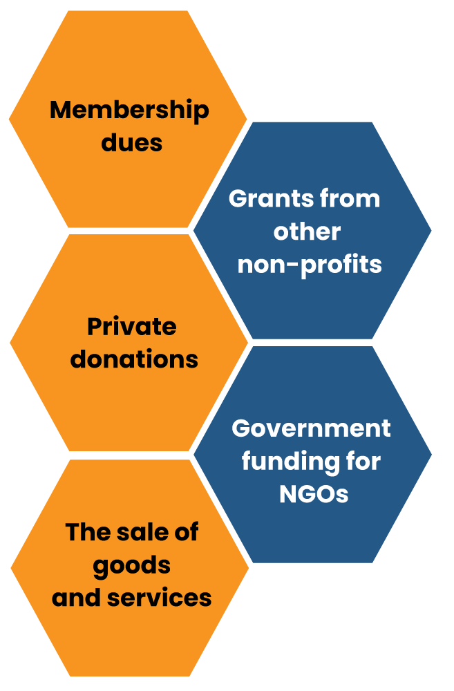 type of funding source is accessible to NGOs