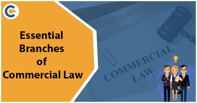 Essential Branches of Commercial Law