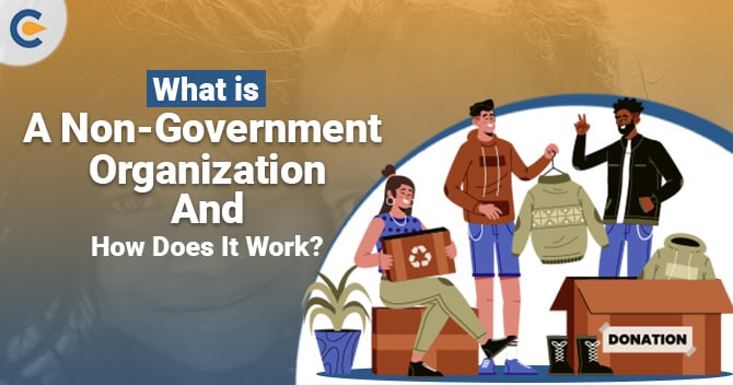 What is a Non-Government Organization and how does it work?