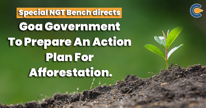 Special NGT Bench directs Goa government to prepare an action plan for afforestation