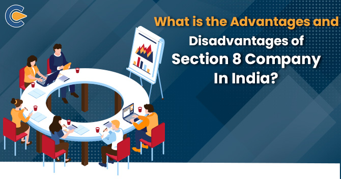 What is the Advantages and Disadvantages of Section 8 Company in India?