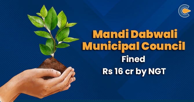 Mandi Dabwali Municipal Council
