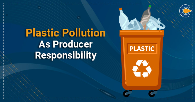 Plastic Pollution as Producer Responsibility