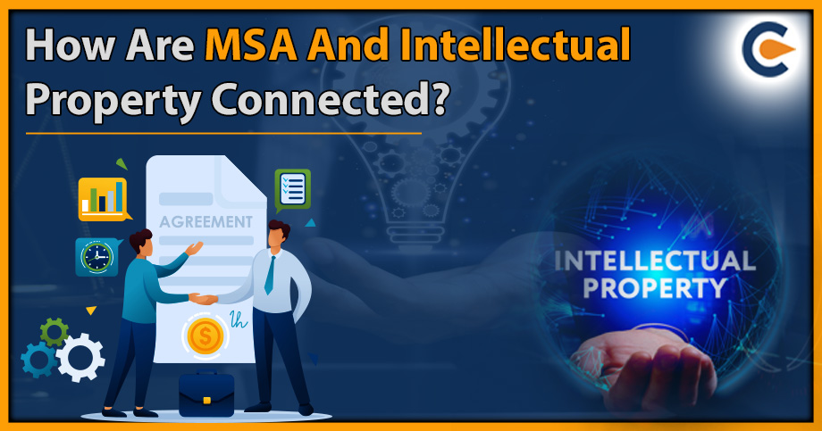How Are MSA And Intellectual Property Connected?