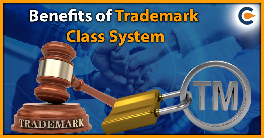 Benefits of Trademark Class System
