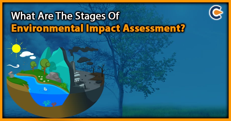 What Are The Stages Of Environmental Impact Assessment?