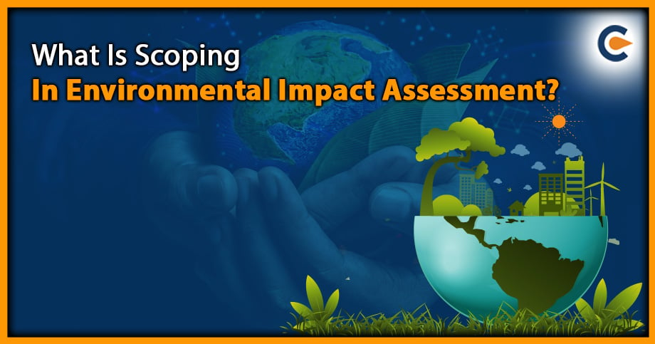 What Is Scoping In Environmental Impact Assessment?