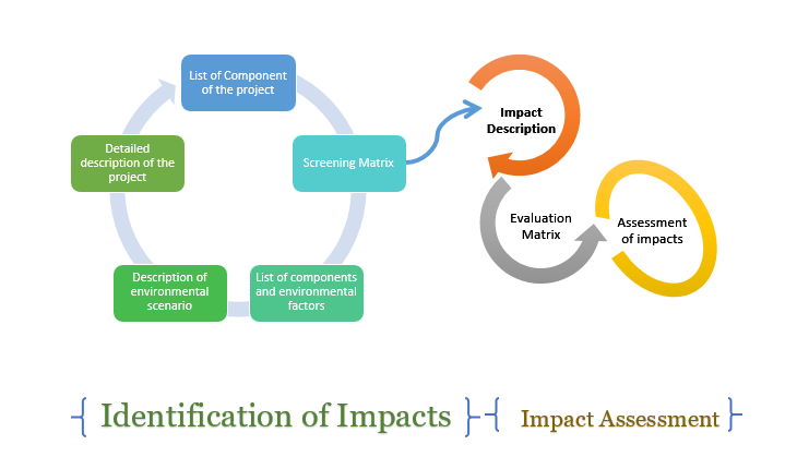 Stages Involved In the Assessment of Environmental Impact