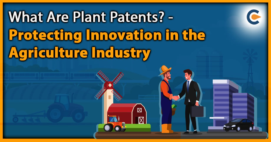 What Are Plant Patents? - Protecting Innovation in the Agriculture Industry