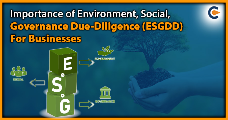 Importance of Environment, Social, Governance Due-Diligence (ESGDD) For Businesses