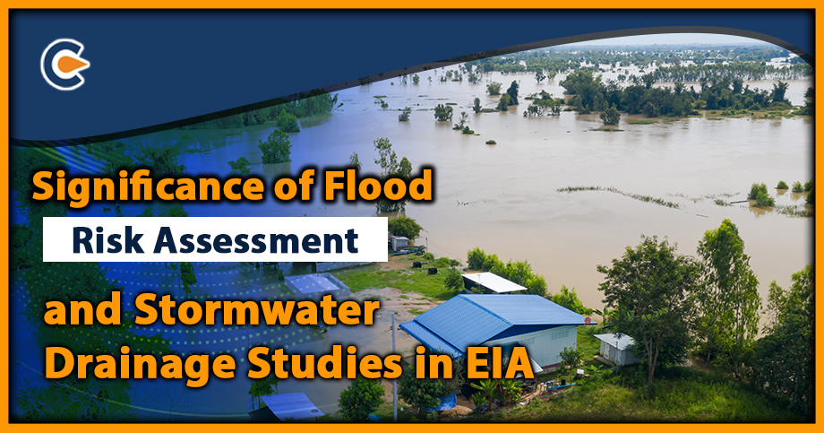 Significance of Flood Risk Assessment and Stormwater Drainage Studies in EIA