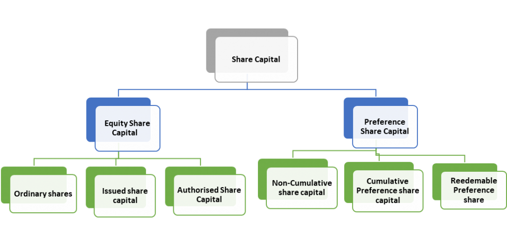 What Are The Types Of Share Capital?