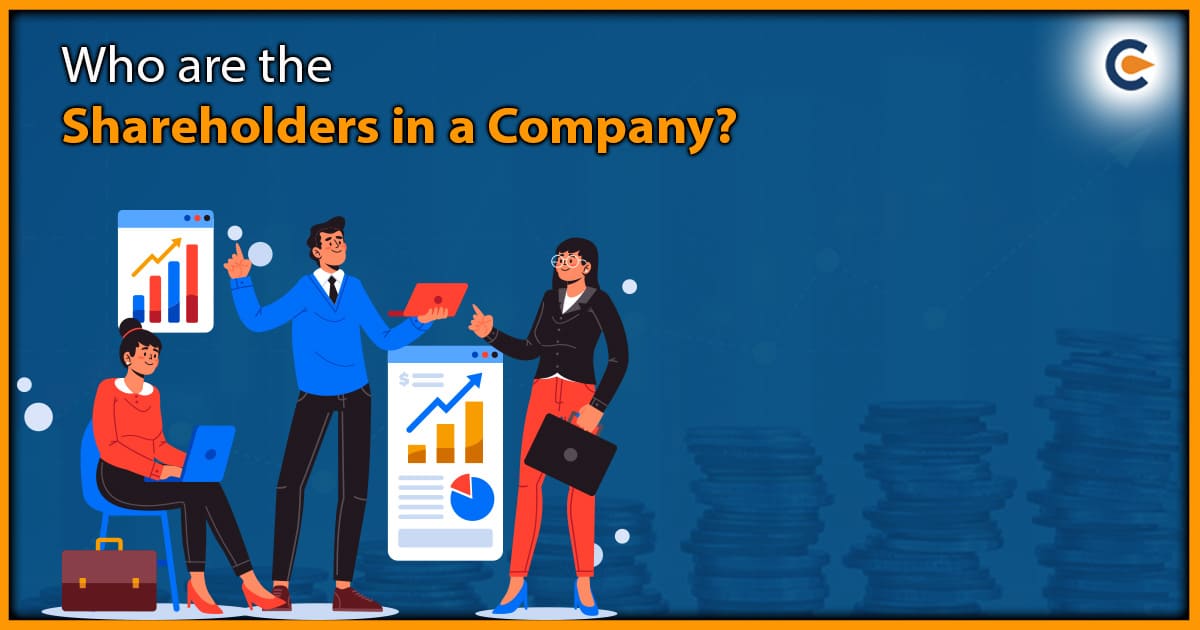 Who are the Shareholders in a Company?
