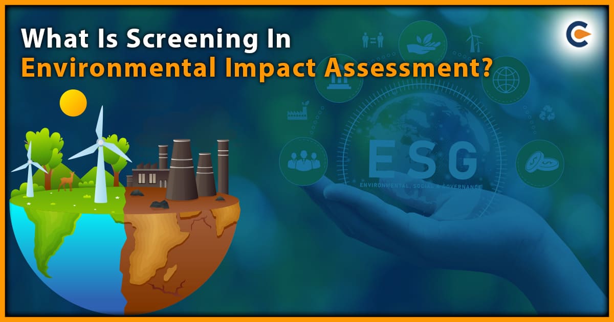 What Is Screening In Environmental Impact Assessment?