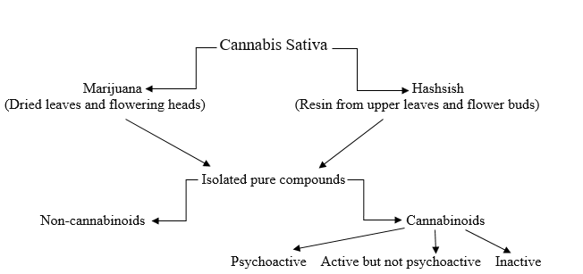 cannabis flow chart