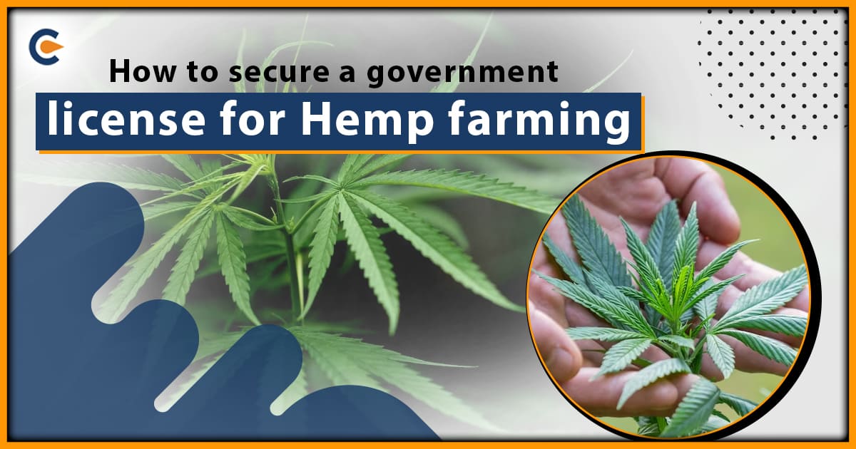 How to secure a government license for Hemp farming