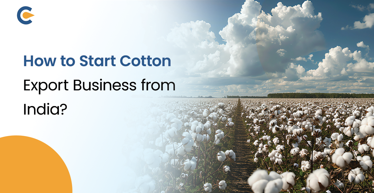 How to Start a Cotton Export Business from India?