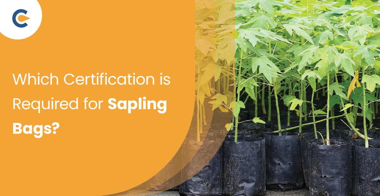 Which Certification is Required for Sapling Bags?